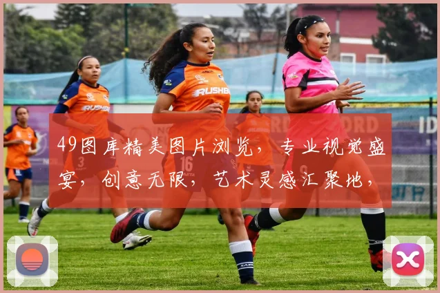 49图库精美图片浏览，专业视觉盛宴，创意无限，艺术灵感汇聚地，摄影爱好者必看