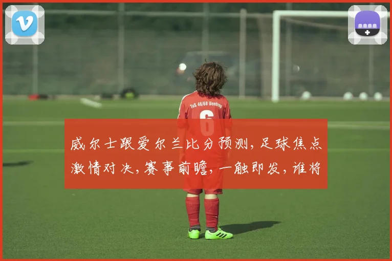 威尔士跟爱尔兰比分预测,足球焦点激情对决,赛事前瞻,一触即发,谁将称霸绿茵场