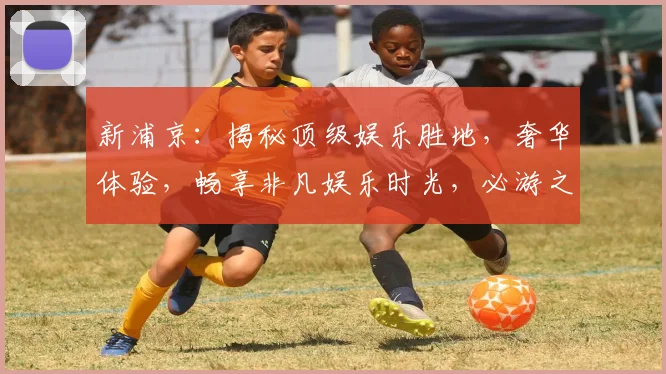 新浦京：揭秘顶级娱乐胜地，奢华体验，畅享非凡娱乐时光，必游之地，不容错过
